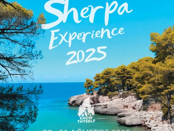 JCI Startup Sherpa Experience